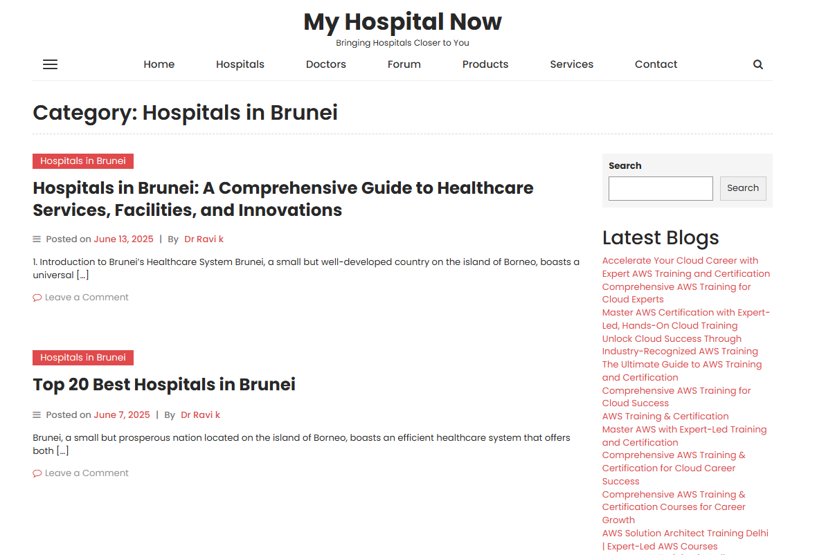 The Patient's Guide to Hospitals in Brunei: From Routine Care to World ...